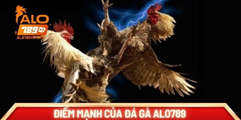 Những điểm mạnh của đá gà Alo789 so với nền tảng khác
