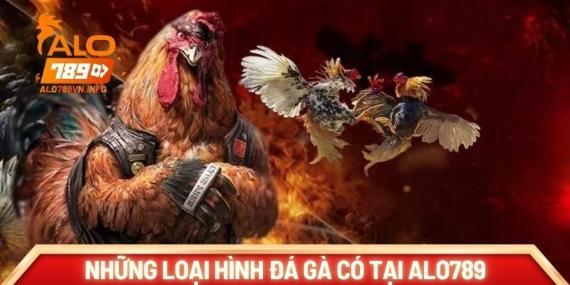 Những loại hình đá gà có tại Alo789 hiện nay